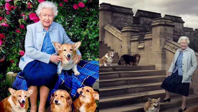 英女皇生前最愛哥基犬。路透/網圖