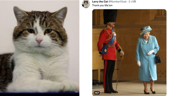 英女皇離世｜英國首席捕鼠大臣Larry「發文」向女皇道謝：Thank you Ma&rsquo;am