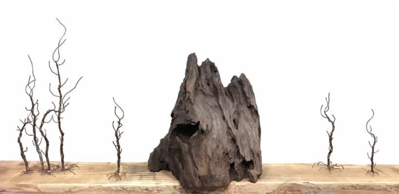 微信图片_20220914115649