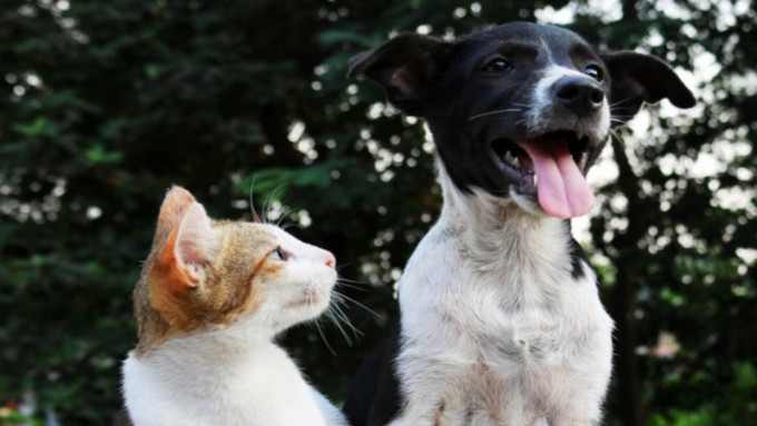 _2022091516004878666 _2022091516004878666