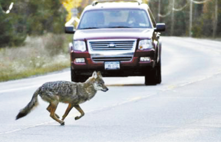 T4 LA220921JS1A_476A_fmt T4 LA220921JS1A_476A_fmt