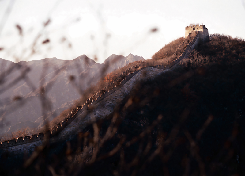 龔震皓作品《The Wall》