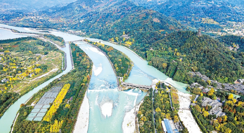 s1000065676_fmt s1000065676_fmt