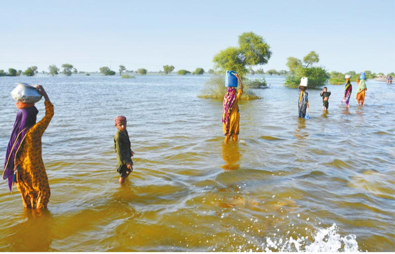 s1000065668_fmt s1000065668_fmt