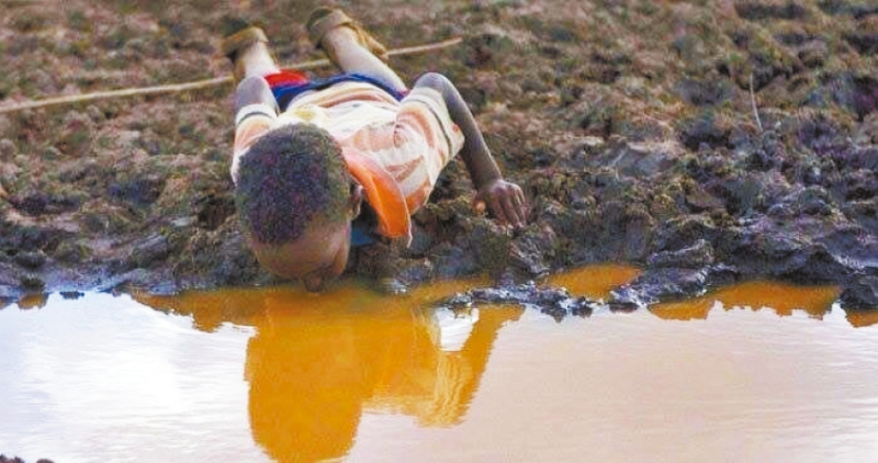 s1000065663_fmt s1000065663_fmt