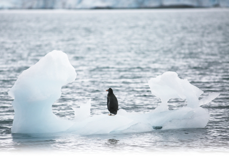 s1000065686_fmt s1000065686_fmt