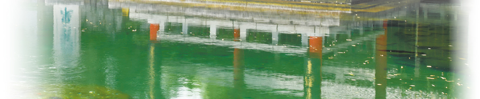 s1000065685_OK_fmt1 s1000065685_OK_fmt1