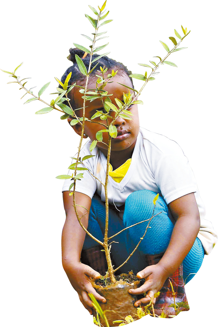 s1000065678_N27_fmt s1000065678_N27_fmt