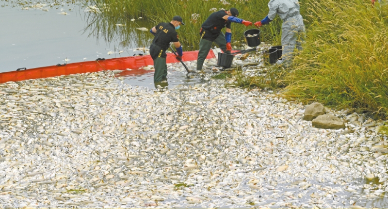 s1000065670_fmt s1000065670_fmt