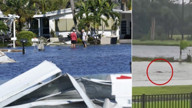 飓风“伊恩”横扫佛州至少酿17人死，街道洪水惊见鲨鱼