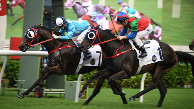 _2022100119512836845 _2022100119512836845