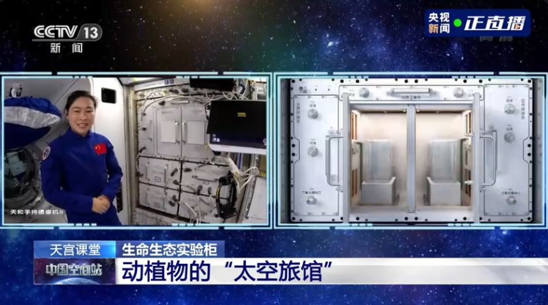 Clipboard47_3 Clipboard47_3