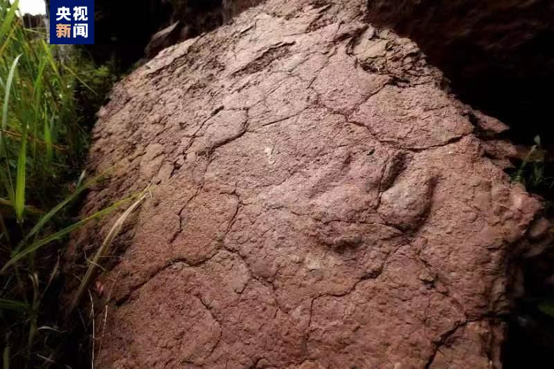 3480-e3038f62db184bbcfac9ab06b7589e80