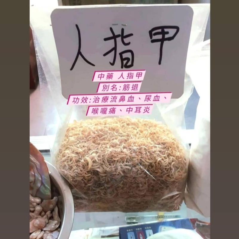 台灣中醫師張宏銘透露近年往河北交流時，在藥市見過有人販賣的人類指甲。（相片獲「張宏銘中醫師 鯨生情緣」授權轉載）