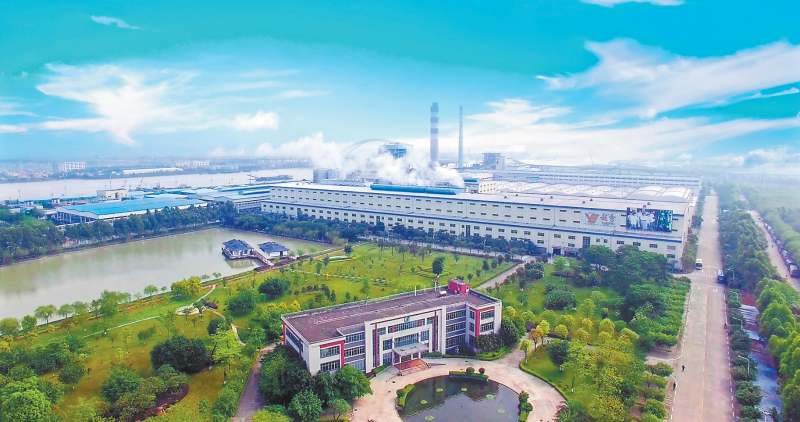 0c89246e-6fd7-4507-ae10-1e2d5f276a22