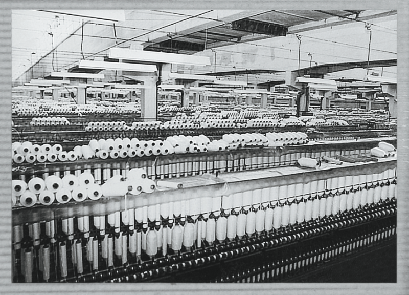 6f125a84-1fff-45d9-b7aa-bf6e0a142fa3_zsize