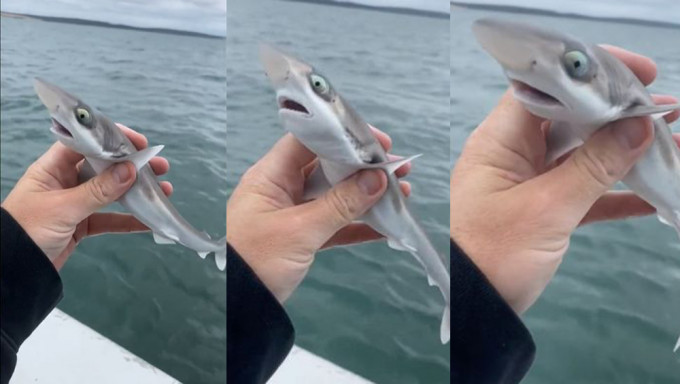 _2022112516260663195