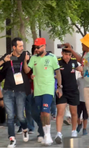 假尼馬。網上圖片