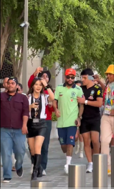 假尼馬。網上圖片