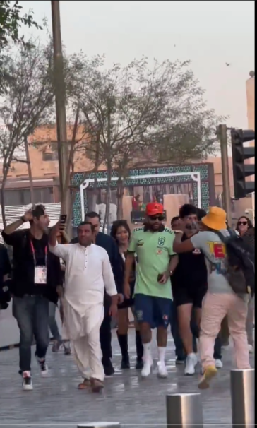 假尼馬。網上圖片