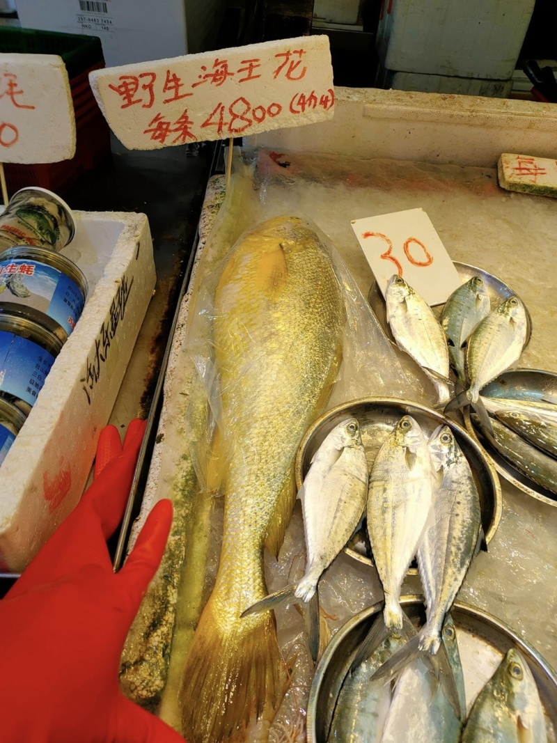 香港再现$4800天价海黄花