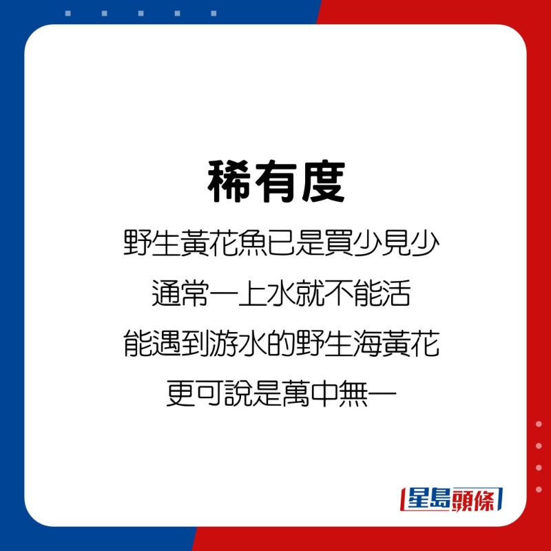 首先是稀有度，野生黄花鱼已是买少见少，因为通常一上水就不能活，能遇到游水的野生海黄花更可说是万中无一。