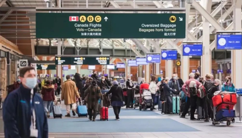 394429479m 394429479m