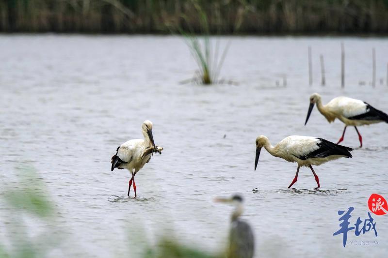 721dcbbf-3ea3-4396-a7ad-2e9856745df3