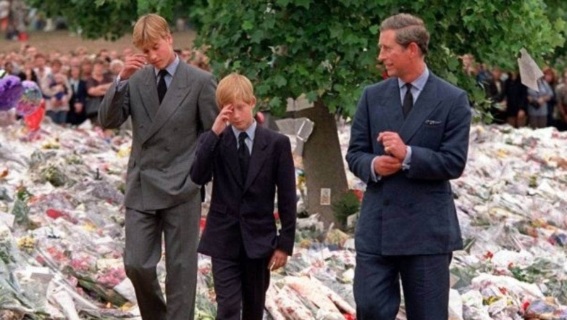 哈里指跟随其他皇室成员走到外面会见民众时感到「一些罪咎感」。