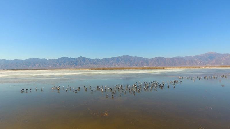 1. 北京野鸭湖国际重要湿地