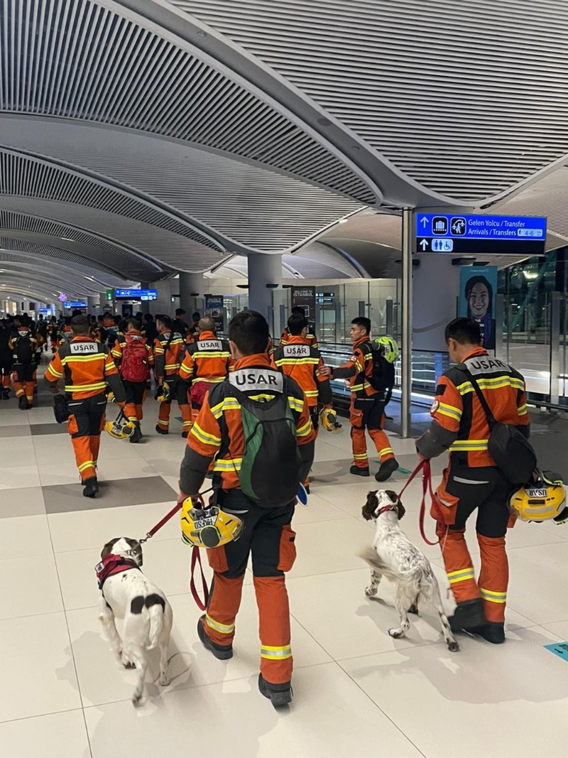 由于两只搜救犬周六回港后需要检疫，故未有在机场亮相。