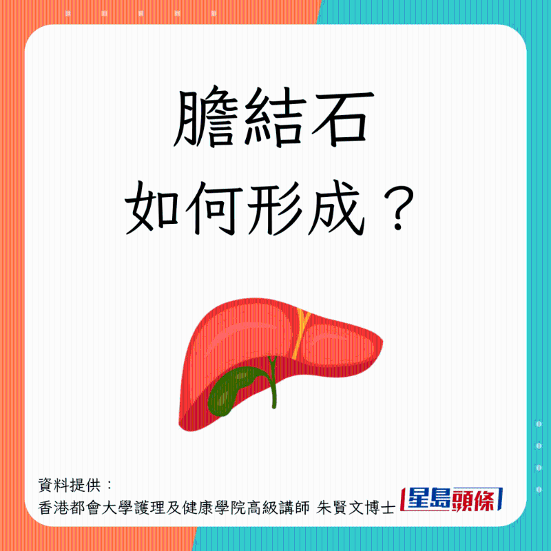 胆结石形成过程