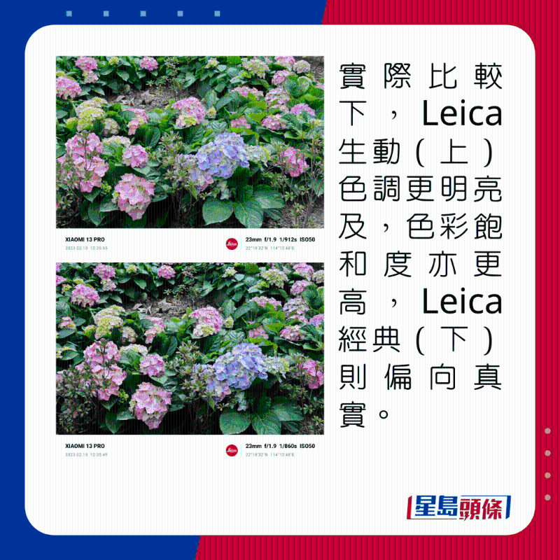 實際比較下，Leica生動（上）色調更明亮及，色彩飽和度亦更高，Leica經典（下）則偏向真實。
