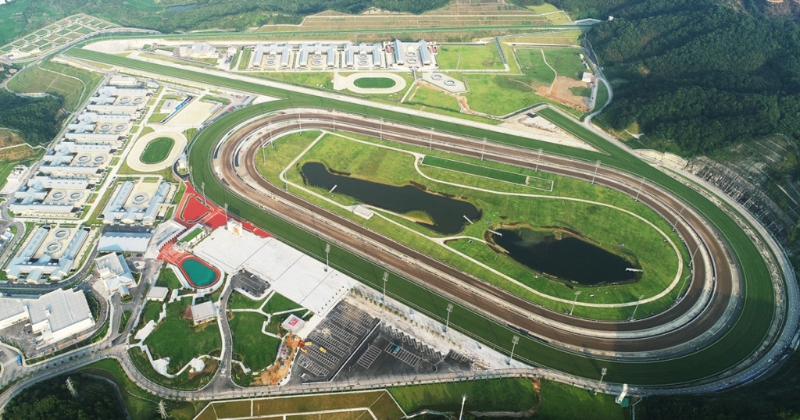 《规划》指要发展高端体育消费。 以香港赛马会从化马场为载体。