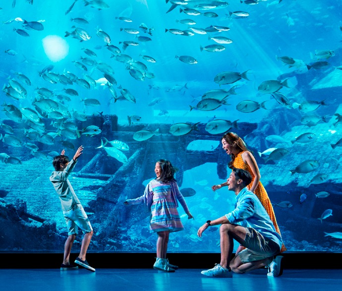 新加坡旅遊局宣布推出「新加坡獎勵」（SingapoRewards）計畫。  SingapoRewards網站圖