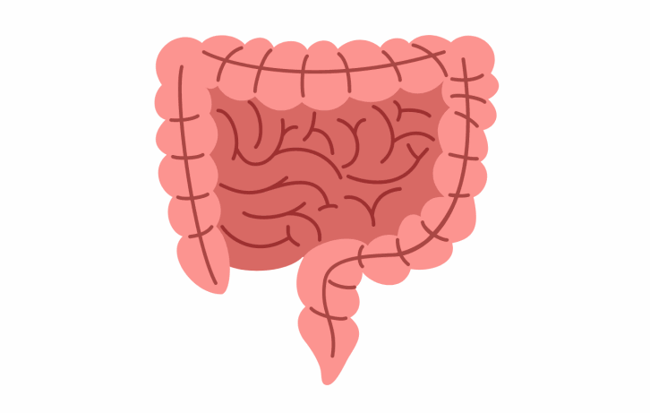 6類人士易缺乏葉酸：有腸道相關疾病者