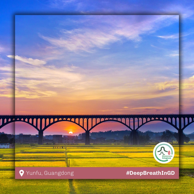 51818021_94aa76aa-ad98-4c79-83c5-fcc47b8fdb79