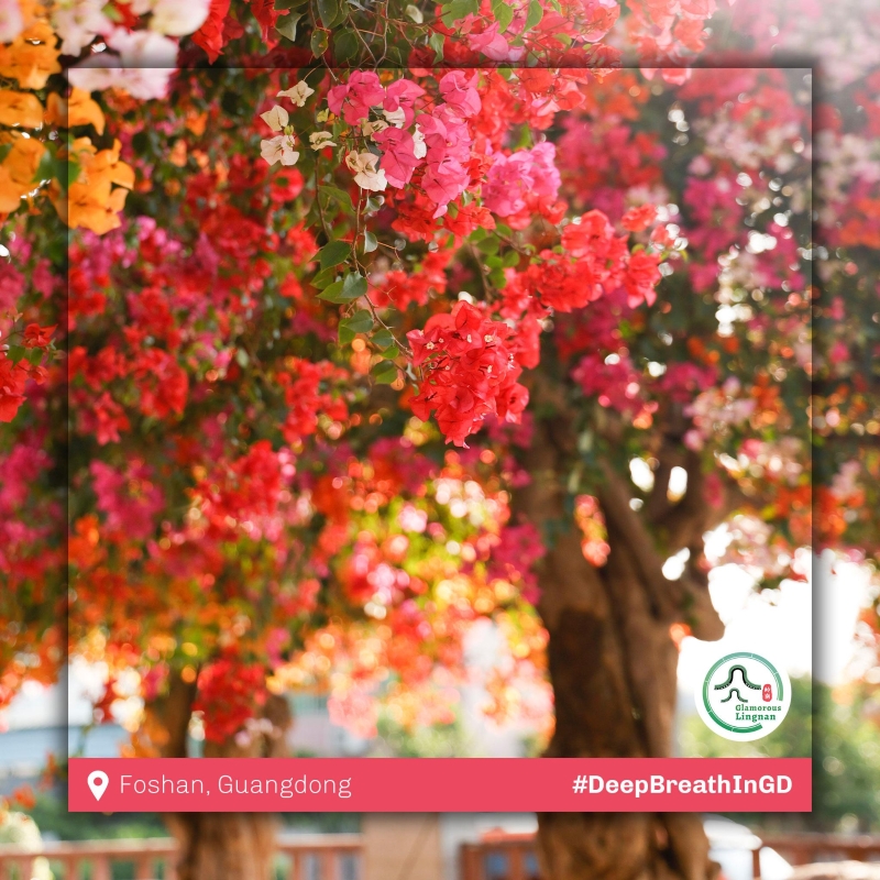 51818021_ad9dbe79-9666-45ed-b58e-5c7c9fc81a00