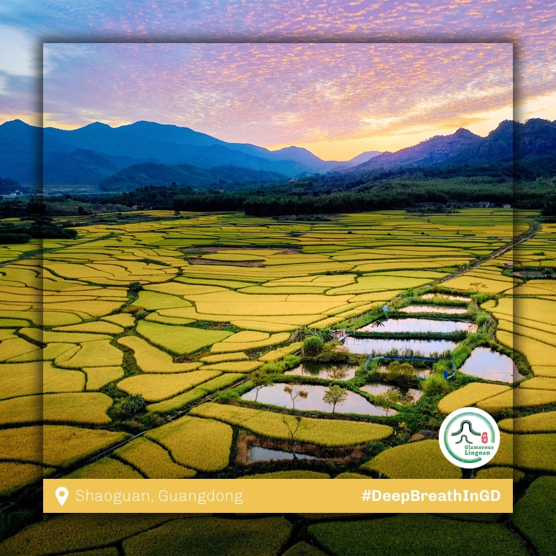 51818021_ec0a16da-5602-4049-83c4-8011cc1c68fd