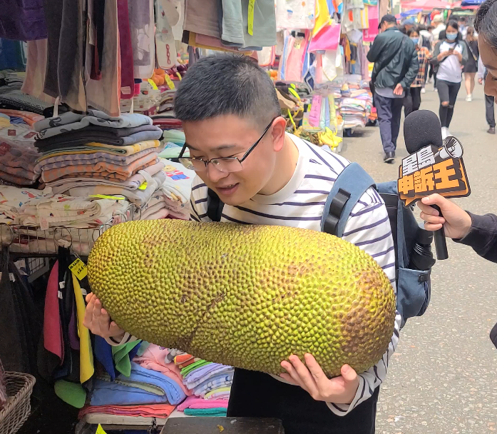 旅客朱先生认为，贼人不太可能徒手捧走一个大树菠萝，应该有准备手推车。