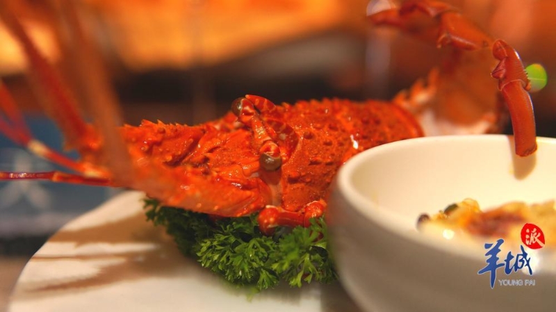 51825141_b2bf823f-2540-43a2-adac-ef6d708daa91 51825141_b2bf823f-2540-43a2-adac-ef6d708daa91