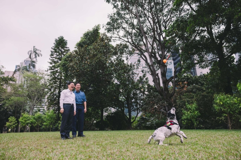 03a6b311-1fd7-49d4-8694-5a3917bd6c56 03a6b311-1fd7-49d4-8694-5a3917bd6c56