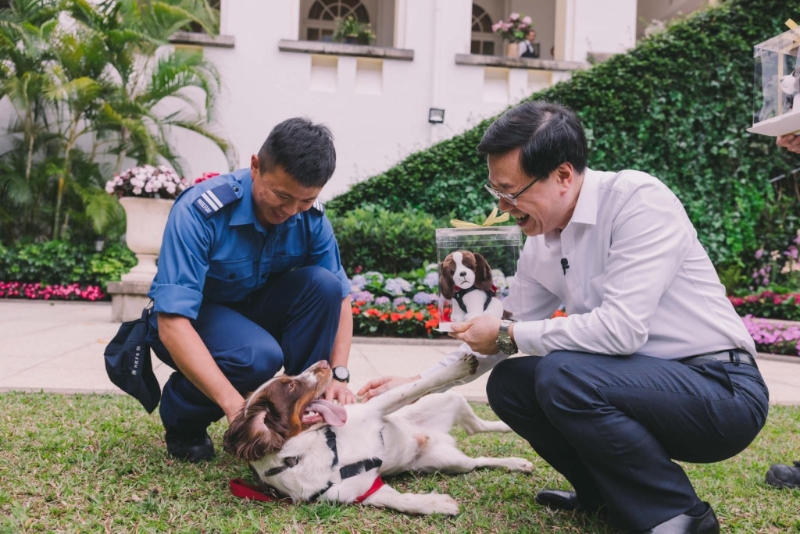 f3a78d4d-9e43-4abf-9041-1facc1576578 f3a78d4d-9e43-4abf-9041-1facc1576578