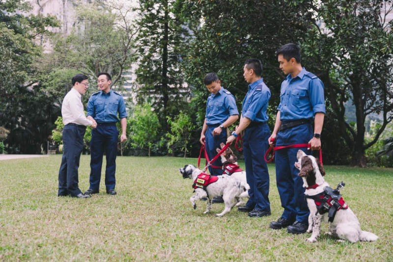 cd45dc6e-5ecc-4c10-85e4-fa5ef278e75e cd45dc6e-5ecc-4c10-85e4-fa5ef278e75e