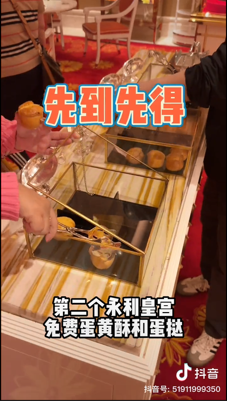 dymacau203 dymacau203