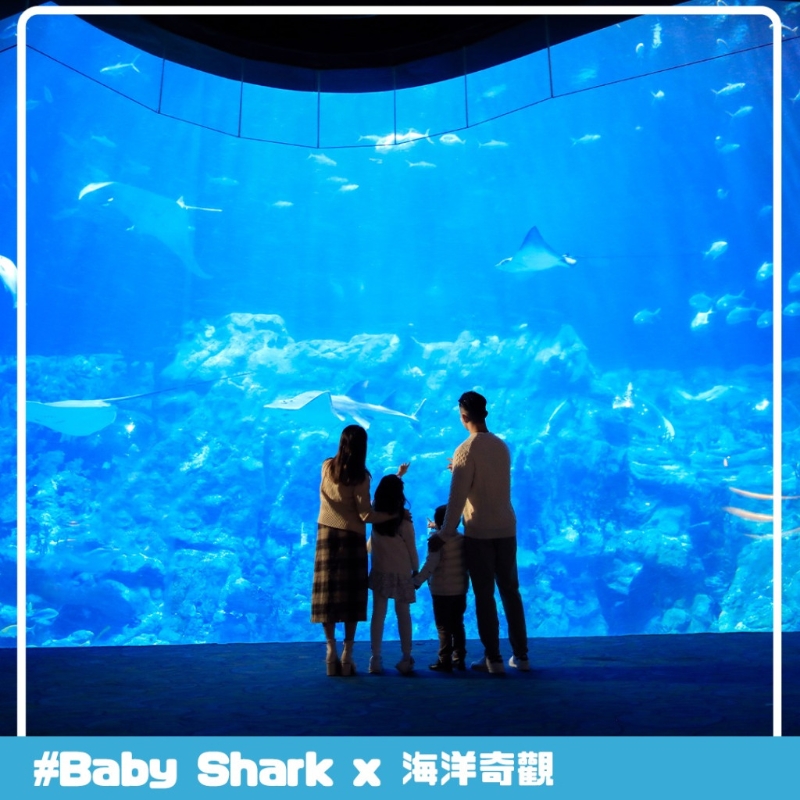 香港居民只需於海洋公園官方網站成功預約,即可享香港人生日免費入場優惠。