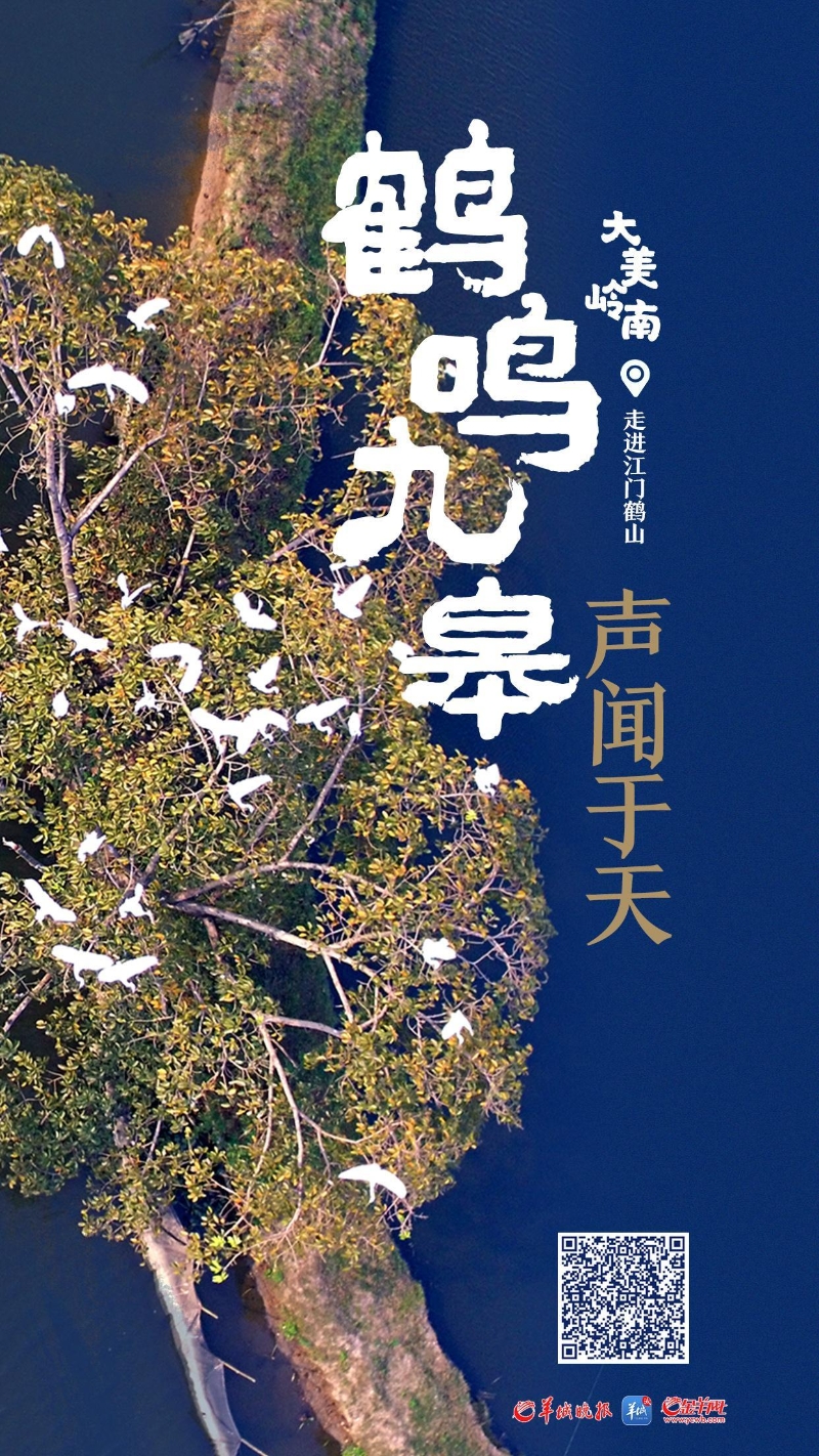 51847784_98345dda-3378-4a3b-bcbe-605456cedfe2