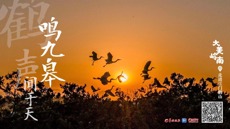 51847784_fbe92ac4-d1df-4723-b5d2-e2b146d69419