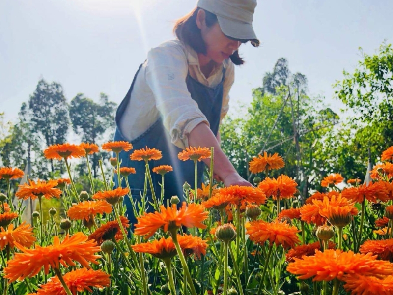 「日日梘」植根新界上水,以自家耕作的有機香草和鮮花為材料,是100%新鮮本地製造的手作純天然好物