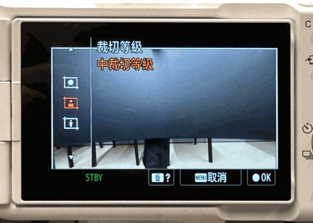 裁切畫面有3種等級可選擇，看你想要大頭、半身或全身效果。